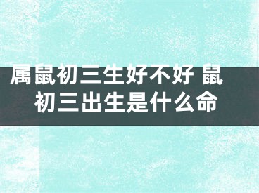 属鼠初三生好不好 鼠初三出生是什么命