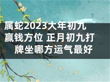 属蛇2023大年初九赢钱方位 正月初九打牌坐哪方运气最好