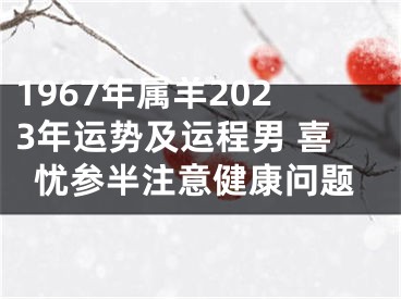 1967年属羊2023年运势及运程男 喜忧参半注意健康问题