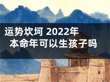 运势坎坷 2022年本命年可以生孩子吗