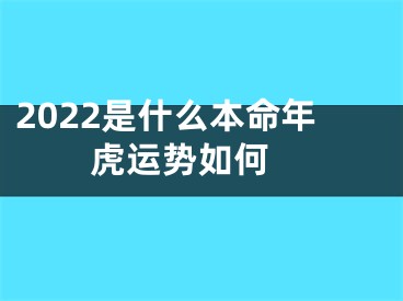 2022是什么本命年  虎运势如何