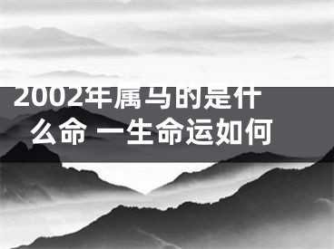 2002年属马的是什么命 一生命运如何