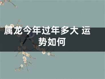 属龙今年过年多大 运势如何