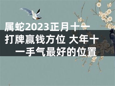 属蛇2023正月十一打牌赢钱方位 大年十一手气最好的位置