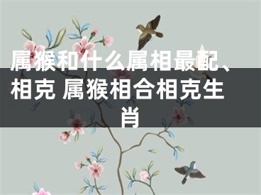 属猴和什么属相最配、相克 属猴相合相克生肖