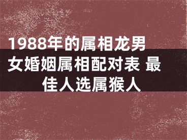 1988年的属相龙男女婚姻属相配对表 最佳人选属猴人