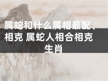 属蛇和什么属相最配、相克 属蛇人相合相克生肖