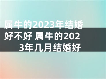 属牛的2023年结婚好不好 属牛的2023年几月结婚好