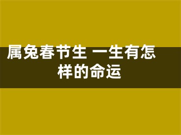 属兔春节生 一生有怎样的命运