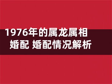 1976年的属龙属相婚配 婚配情况解析