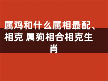 属鸡和什么属相最配、相克 属狗相合相克生肖