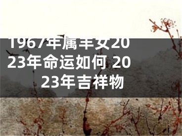 1967年属羊女2023年命运如何 2023年吉祥物