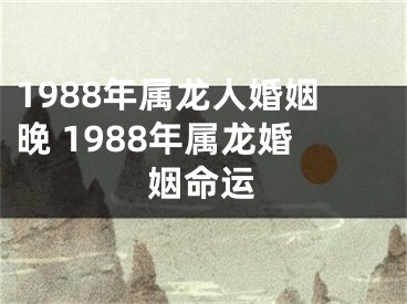 1988年属龙人婚姻晚 1988年属龙婚姻命运