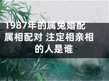 1987年的属兔婚配属相配对 注定相亲相的人是谁