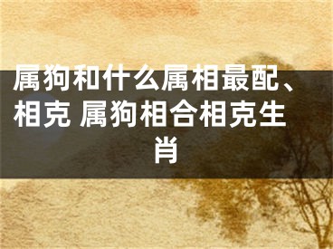 属狗和什么属相最配、相克 属狗相合相克生肖