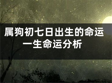 属狗初七日出生的命运 一生命运分析