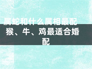 属蛇和什么属相最配  猴、牛、鸡最适合婚配