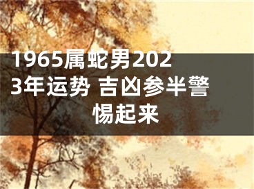 1965属蛇男2023年运势 吉凶参半警惕起来