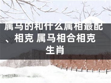 属马的和什么属相最配、相克 属马相合相克生肖