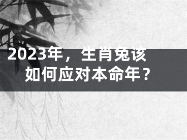 2023年，生肖兔该如何应对本命年？