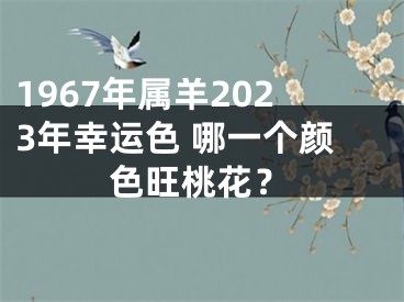 1967年属羊2023年幸运色 哪一个颜色旺桃花？