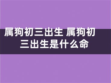 属狗初三出生 属狗初三出生是什么命