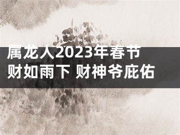 属龙人2023年春节财如雨下 财神爷庇佑