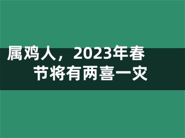 属鸡人，2023年春节将有两喜一灾