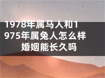 1978年属马人和1975年属兔人怎么样 婚姻能长久吗