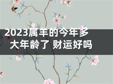 2023属羊的今年多大年龄了 财运好吗