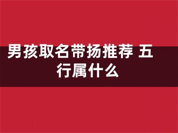 男孩取名带扬推荐 五行属什么