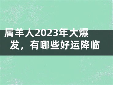 属羊人2023年大爆发，有哪些好运降临