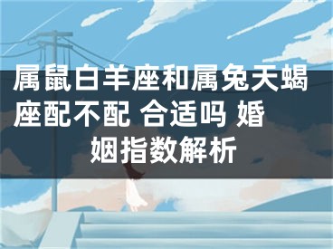 属鼠白羊座和属兔天蝎座配不配 合适吗 婚姻指数解析