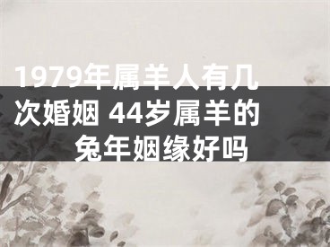 1979年属羊人有几次婚姻 44岁属羊的兔年姻缘好吗