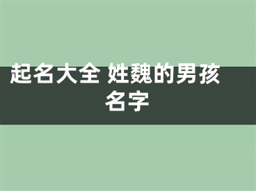 起名大全 姓魏的男孩名字