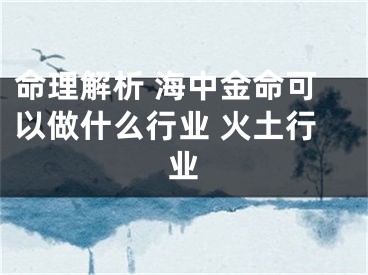 命理解析 海中金命可以做什么行业 火土行业