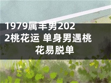 1979属羊男2022桃花运 单身男遇桃花易脱单