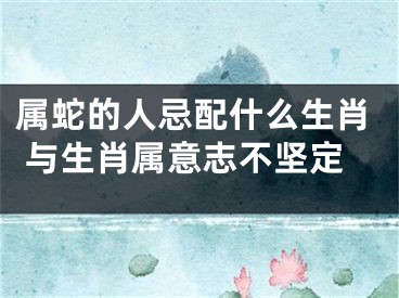 属蛇的人忌配什么生肖 与生肖属意志不坚定