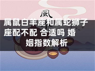 属鼠白羊座和属蛇狮子座配不配 合适吗 婚姻指数解析