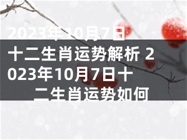 2023年10月7日十二生肖运势解析 2023年10月7日十二生肖运势如何