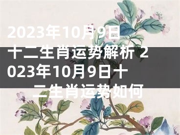 2023年10月9日十二生肖运势解析 2023年10月9日十二生肖运势如何