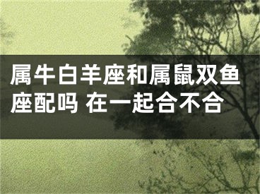 属牛白羊座和属鼠双鱼座配吗 在一起合不合