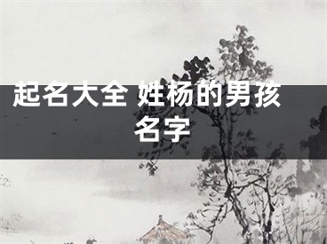 起名大全 姓杨的男孩名字