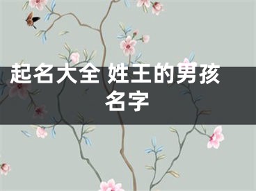 起名大全 姓王的男孩名字