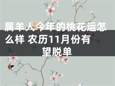 属羊人今年的桃花运怎么样 农历11月份有望脱单