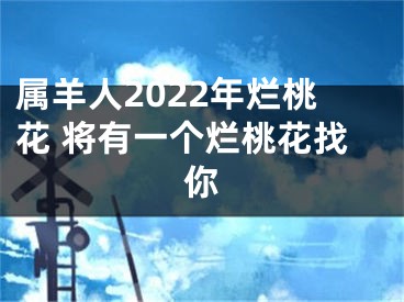 属羊人2022年烂桃花 将有一个烂桃花找你