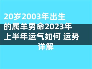 20岁2003年出生的属羊男命2023年上半年运气如何 运势详解