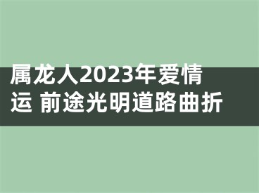 属龙人2023年爱情运 前途光明道路曲折