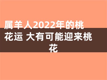 属羊人2022年的桃花运 大有可能迎来桃花