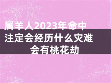 属羊人2023年命中注定会经历什么灾难 会有桃花劫